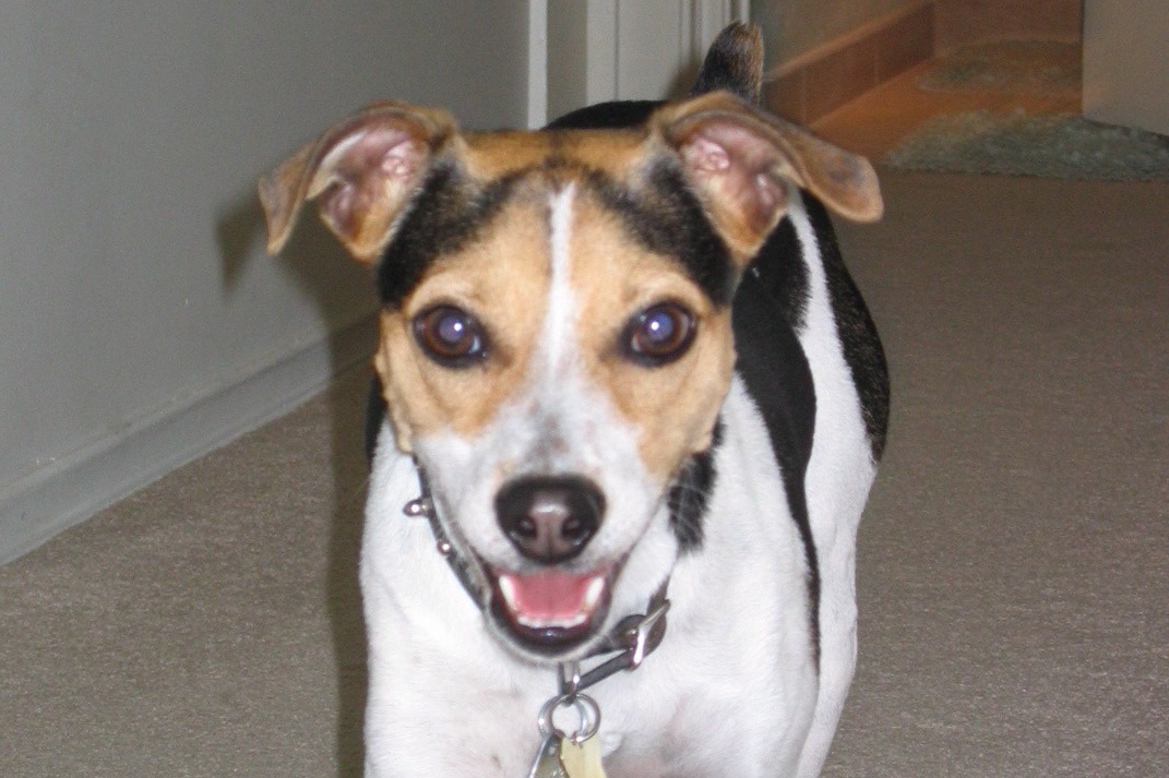Tucker-MyFavPic.JPG