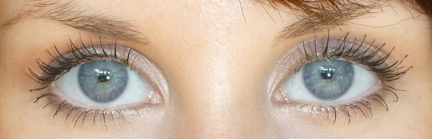 EOTD.jpg