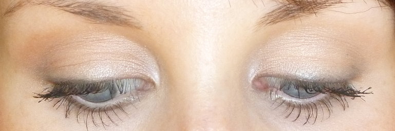 EOTD2.jpg