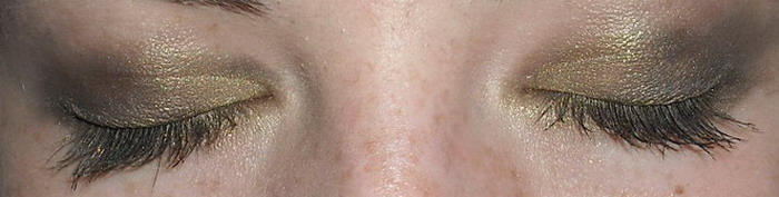 DSCF0011a.jpg