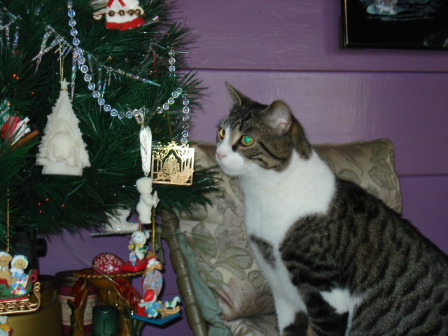 DSC00095.jpg