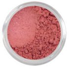 Clasp- Matte Light Plum Vegan Blush