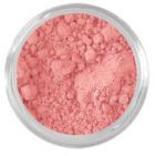 Dainty- Light Nude Pink Matte Vegan Blush