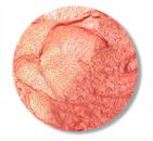 Daybreak- Golden Peach Duochrome HD Cream Blush