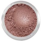 Diary- muted plum shimmer OAD