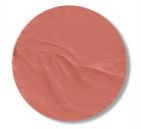 Frenzy- Light Peach Velvet Matte Lipstick