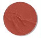 Notion- Medium Peach Velvet Matte Lipstick