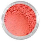 Poppy- Warm Coral Matte Blush