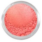 Wish You Were Here- Coral Shimmer Blush